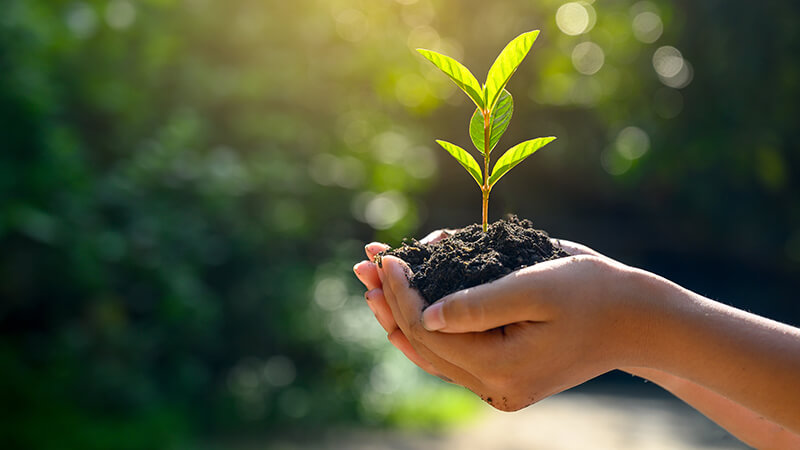 サステナビリティ